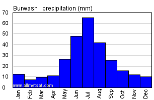 Burwash Yukon Canada Annual Precipitation Graph