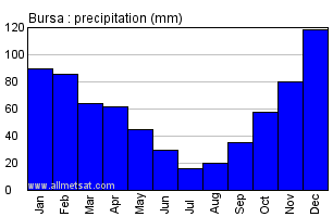 Bursa Turkey Annual Precipitation Graph