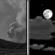 Tonight: Patchy smoke between 9pm and midnight. Partly cloudy, with a low around 53. Southwest wind around 5 mph becoming calm  in the evening. 