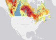 Head Fire Intensity
