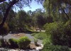 Placerville California Live Streaming WebCam Thumbnail Image